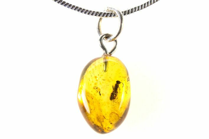 Polished Baltic Amber Pendant (Necklace) - Contains Wasp! #321238
